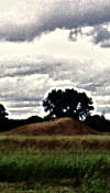 photograph of Caddo Indian burial mound